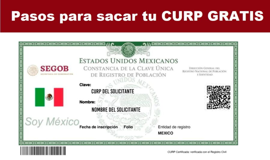 Consigue tu CURP Rápidamente desde Casa